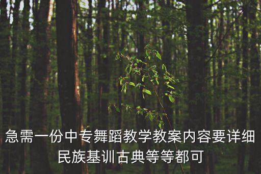 急需一份中专舞蹈教学教案内容要详细民族基训古典等等都可