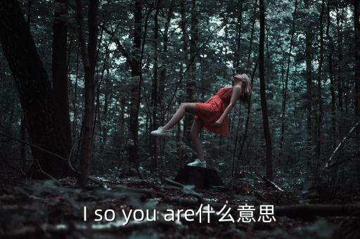 I so you are什么意思