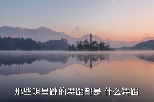 那些明星跳的舞蹈都是 什么舞蹈