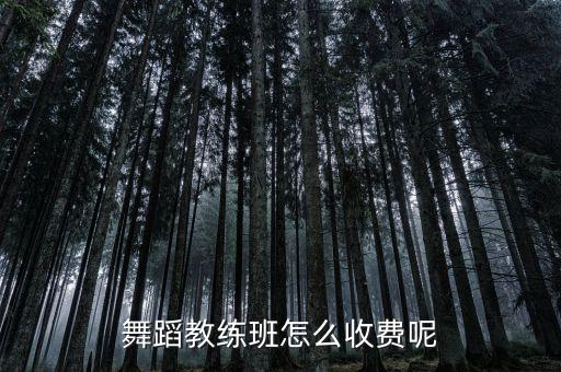 舞蹈教练班怎么收费呢