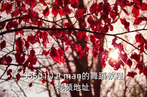 SS501U R man的舞蹈教程视频地址