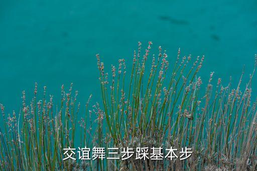 交谊舞三步踩基本步