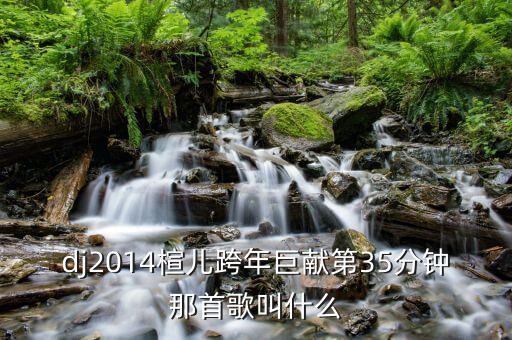 dj2014楦儿跨年巨献第35分钟那首歌叫什么
