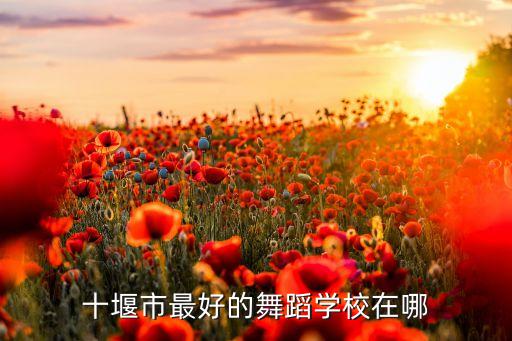 十堰市最好的舞蹈学校在哪