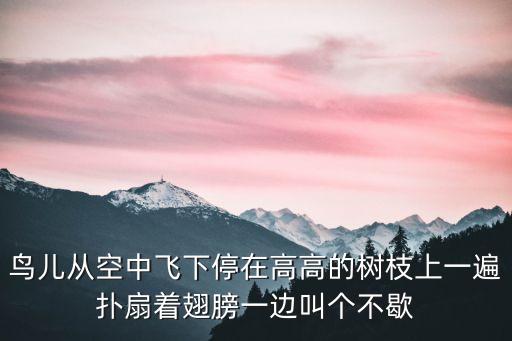 鸟儿从空中飞下停在高高的树枝上一遍扑扇着翅膀一边叫个不歇