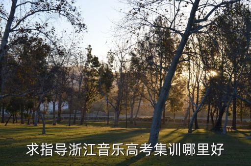 求指导浙江音乐高考集训哪里好