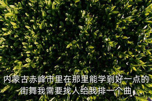 内蒙古赤峰市里在那里能学到好一点的街舞我需要找人给我排一个曲