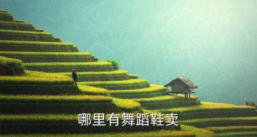 跳舞的鞋子哪里有卖的，哪有卖跳舞鞋的地方啊