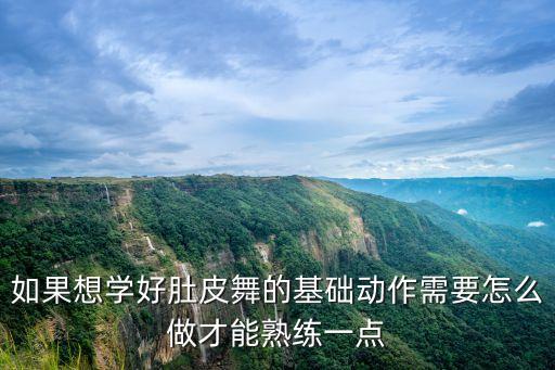如果想学好肚皮舞的基础动作需要怎么做才能熟练一点