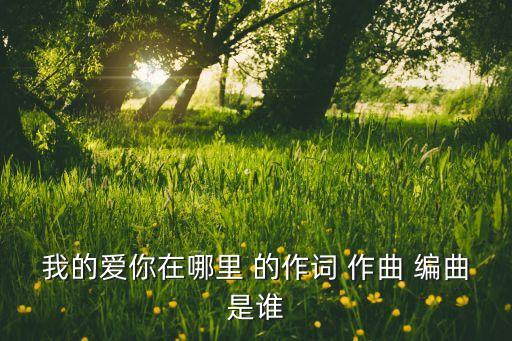 新月蝶广场舞我是爱的你在哪里，我是爱人你在哪里