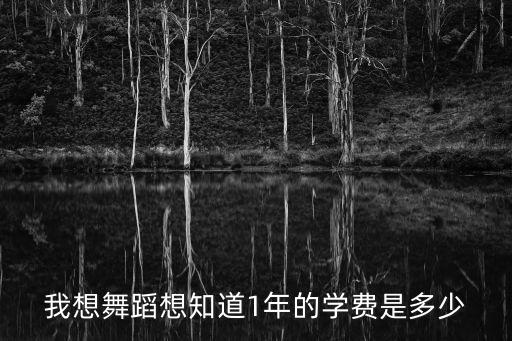 我想舞蹈想知道1年的学费是多少