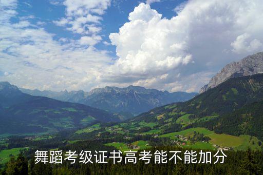 舞蹈考级证书高考能不能加分