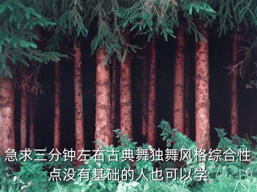 急求三分钟左右古典舞独舞风格综合性点没有基础的人也可以学