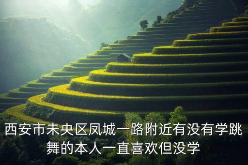 西安市未央区凤城一路附近有没有学跳舞的本人一直喜欢但没学