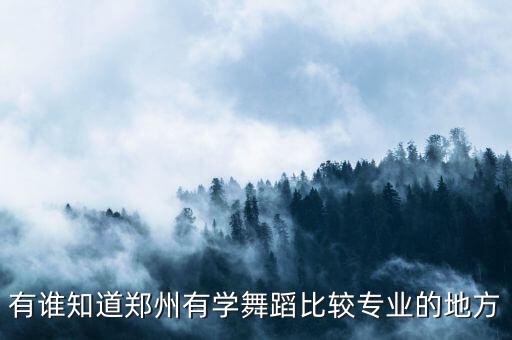 有谁知道郑州有学舞蹈比较专业的地方