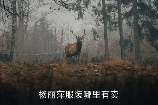 杨丽萍服装哪里有卖