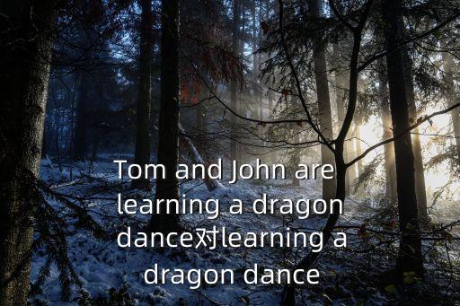 Tom and John are learning a dragon dance对learning a dragon dance
