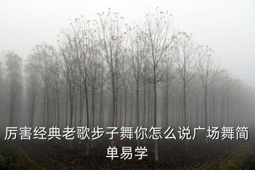 广场舞你怎么说慧慧，厉害经典老歌步子舞你怎么说广场舞简单易学