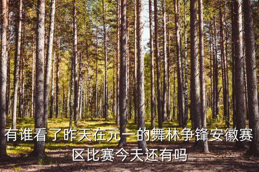 有谁看了昨天在元一的舞林争锋安徽赛区比赛今天还有吗