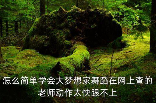 怎么简单学会大梦想家舞蹈在网上查的老师动作太快跟不上