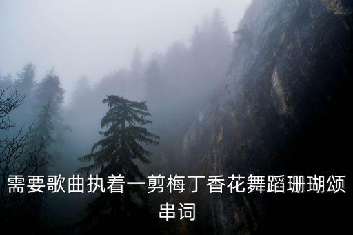珊瑚颂舞蹈独舞，需要歌曲执着一剪梅丁香花舞蹈珊瑚颂串词