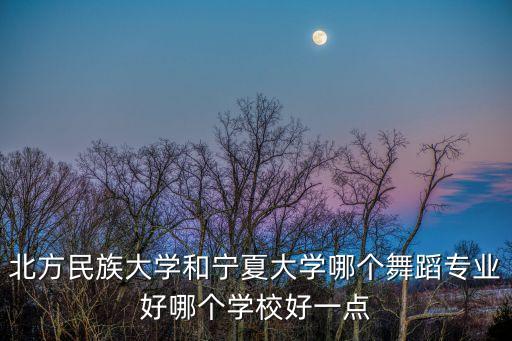 宁夏地区舞蹈怎么样，各位亲谁知道银川哪的艺术学校好一点啊