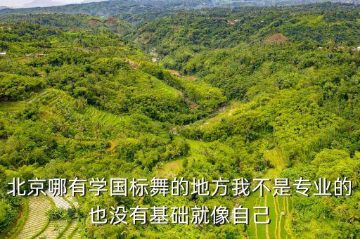 北京哪有学国标舞的地方我不是专业的也没有基础就像自己
