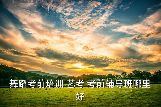 舞蹈考研机构都哪些，舞蹈考研辅导班哪家好