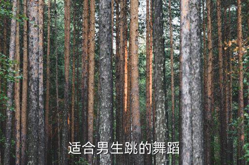 现代舞蹈教学视频大全男生版，什么舞蹈又帅又简单