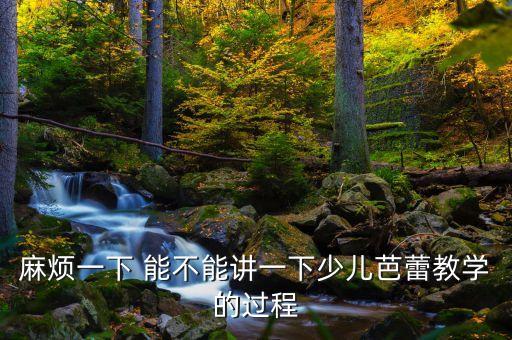 麻烦一下 能不能讲一下少儿芭蕾教学的过程
