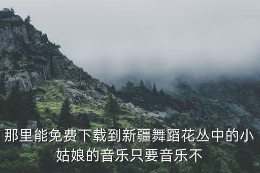 哪里可以下载新疆人跳舞，那里能免费下载到新疆舞蹈花丛中的小姑娘的音乐只要音乐不
