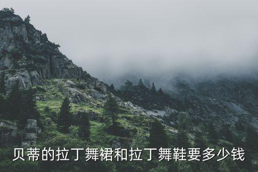 贝蒂的拉丁舞裙和拉丁舞鞋要多少钱