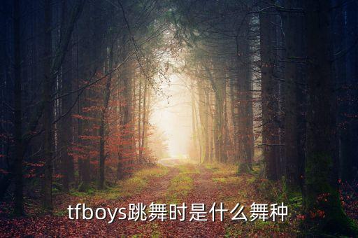 tfboys跳的是什么舞，tfboys跳的舞属于什么舞