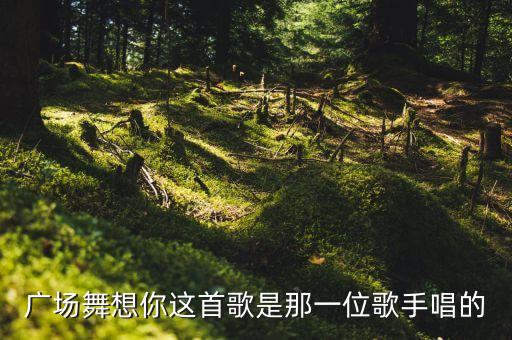 广场舞想啊什么歌曲，广场舞想你这首歌是那一位歌手唱的