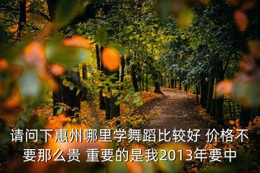 请问下惠州哪里学舞蹈比较好 价格不要那么贵 重要的是我2013年要中