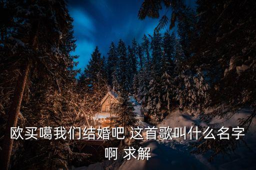 欧买噶我们结婚吧 这首歌叫什么名字啊 求解