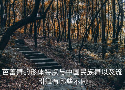 芭蕾舞的形体特点与中国民族舞以及流引舞有哪些不同