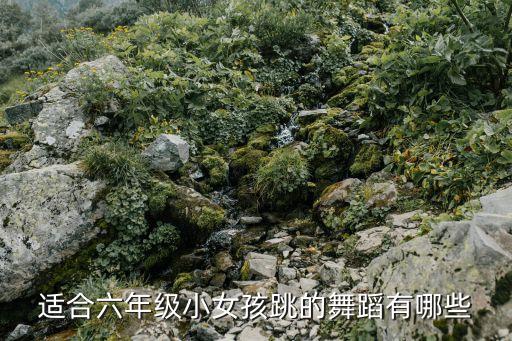 适合六年级小女孩跳的舞蹈有哪些