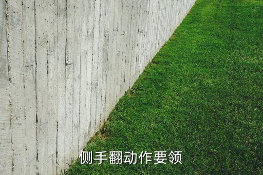 侧手翻动作要领