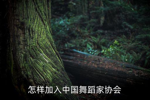 怎样加入中国舞蹈家协会