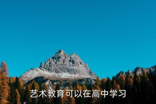 艺术教育可以在高中学习