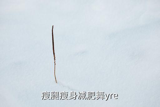 健身广场舞视频大全30分钟教学，瘦腿瘦身减肥舞yre