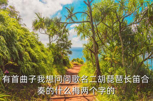有首曲子我想问问歌名二胡琵琶长笛合奏的什么梅两个字的