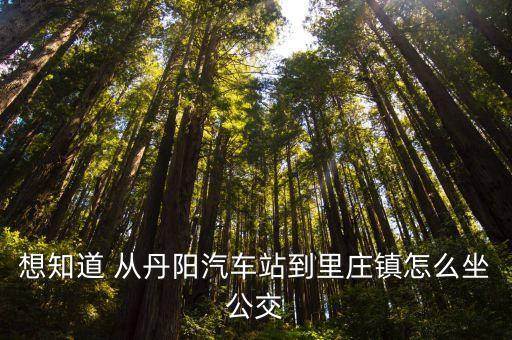 想知道 从丹阳汽车站到里庄镇怎么坐公交