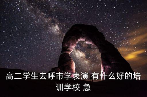 呼市艺考培训学校哪家好，高二学生去呼市学表演 有什么好的培训学校 急