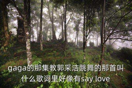 广场舞世界那么大是什么歌，gaga的那集教郭采洁跳舞的那首叫什么歌词里好像有say love