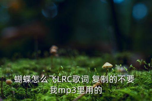 蝴蝶怎么飞LRC歌词 复制的不要 我mp3里用的