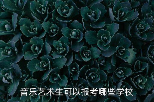 音乐艺术生可以报考哪些学校