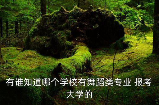 全国招生艺考舞蹈类的综合类大学，舞蹈专业考什么学校