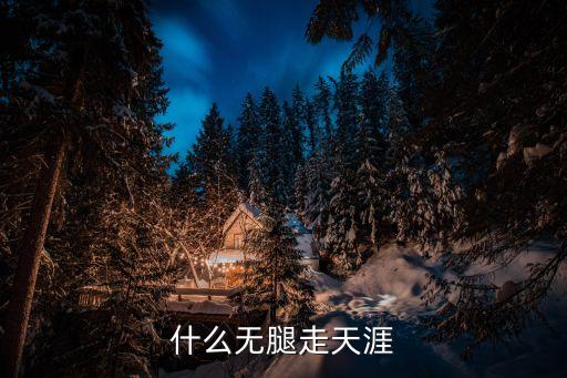 什么步走天涯，什么无腿走天涯